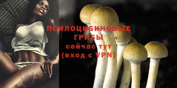 мдма Нефтекумск