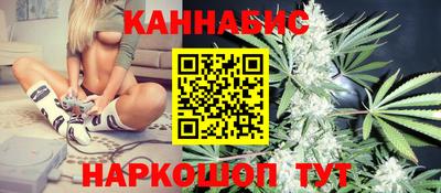 спиды Кингисепп
