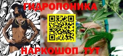 Альфа ПВП Кимры