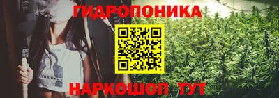 apvp Берёзовский