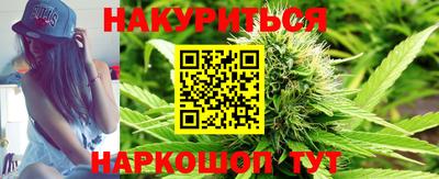 спиды Кингисепп