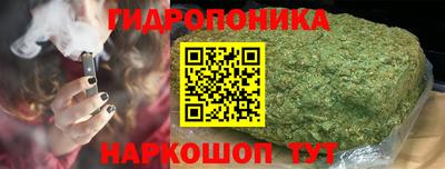 мяу мяу мука Кинель