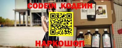 спиды Кингисепп