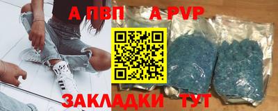 спиды Кингисепп