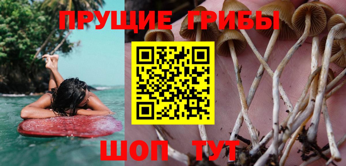 Галлюциногенные грибы Cubensis  Вход с VPN  наркота  Шуя 