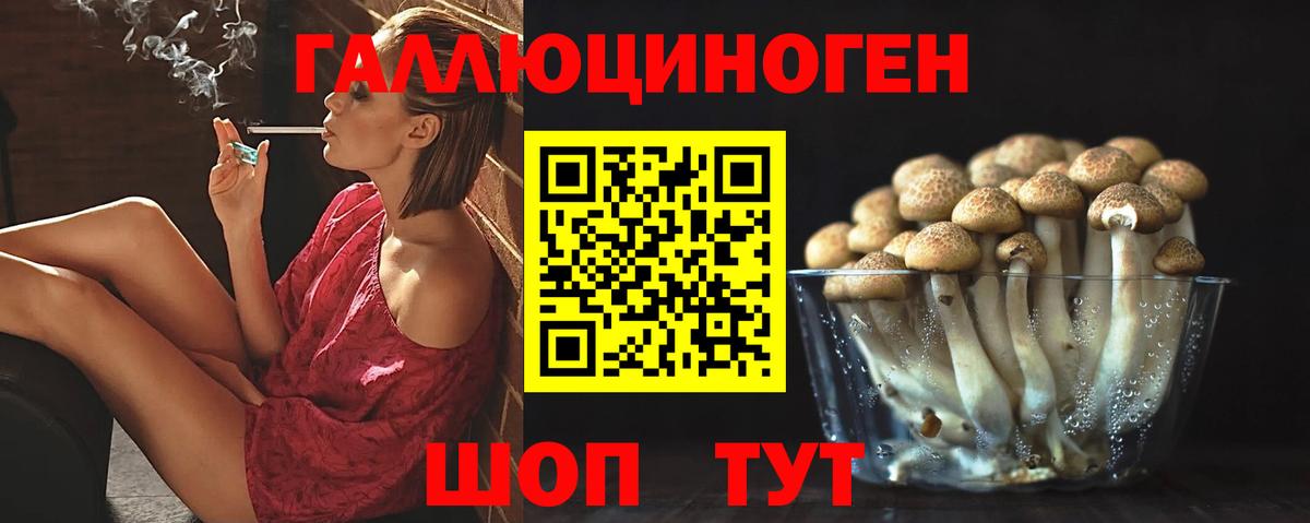 Галлюциногенные грибы GOLDEN TEACHER Шуя