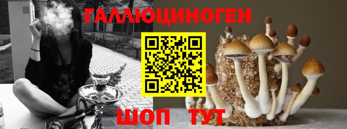 сколько стоит  Псилоцибиновые грибы MAGIC MUSHROOMS  Шуя  Псилоцибиновые грибы мухоморы 