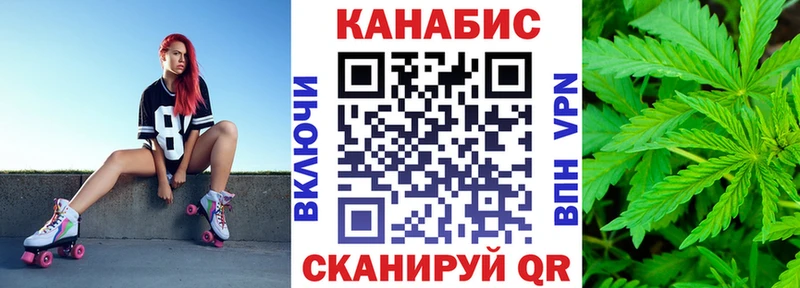 Бошки марихуана сатива Шуя