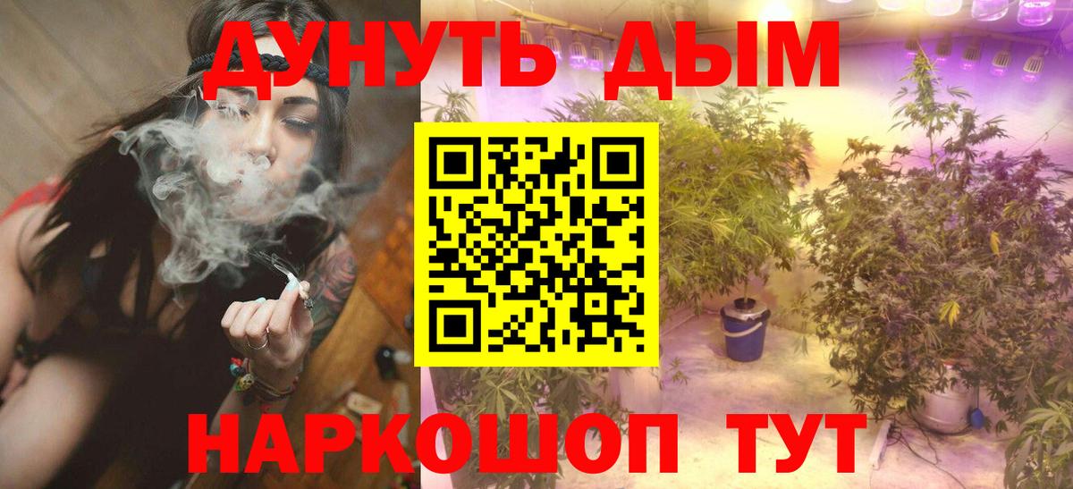 Шишки марихуана AK-47 Шуя